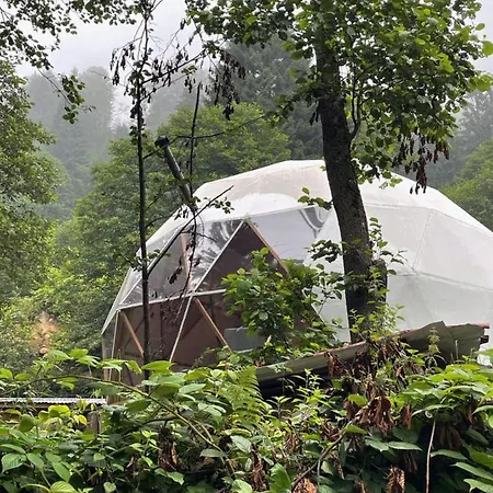 Domek letniskowy Freedome